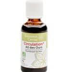 ail des ours made in chartreuse