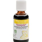 Bourgeon Framboisier