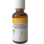 bourgeon de marronnier pour une bonne circulation