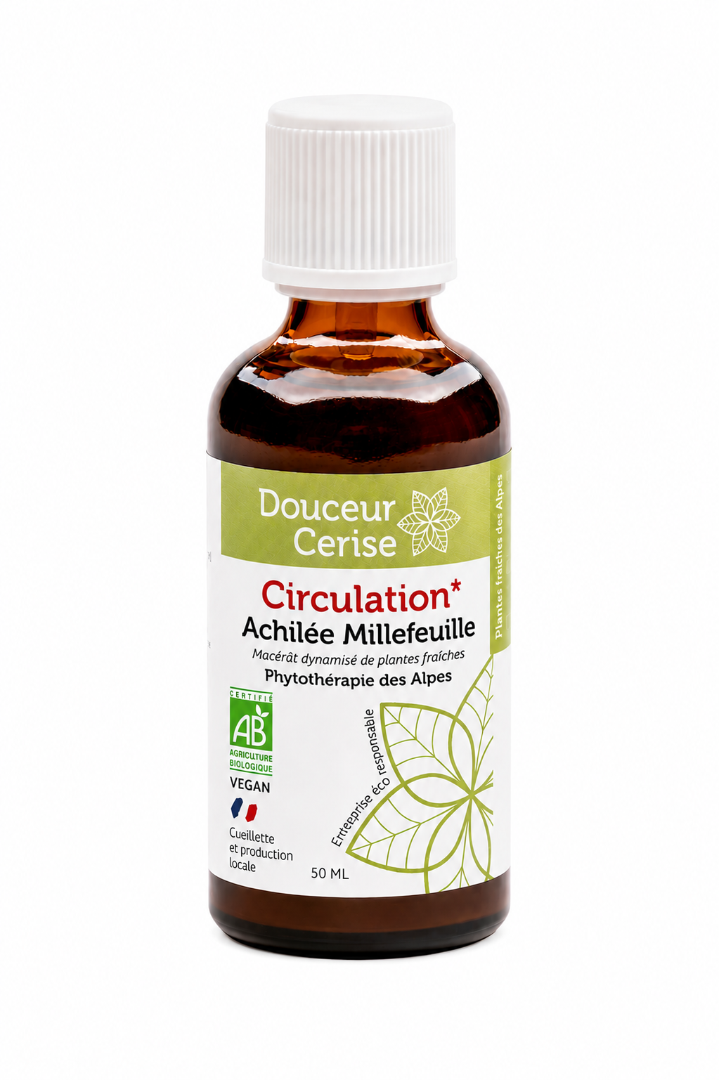 Achilée Millefeuille Achillée Millefeuille – Image 1