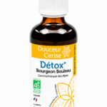 Bourgeon Bouleau